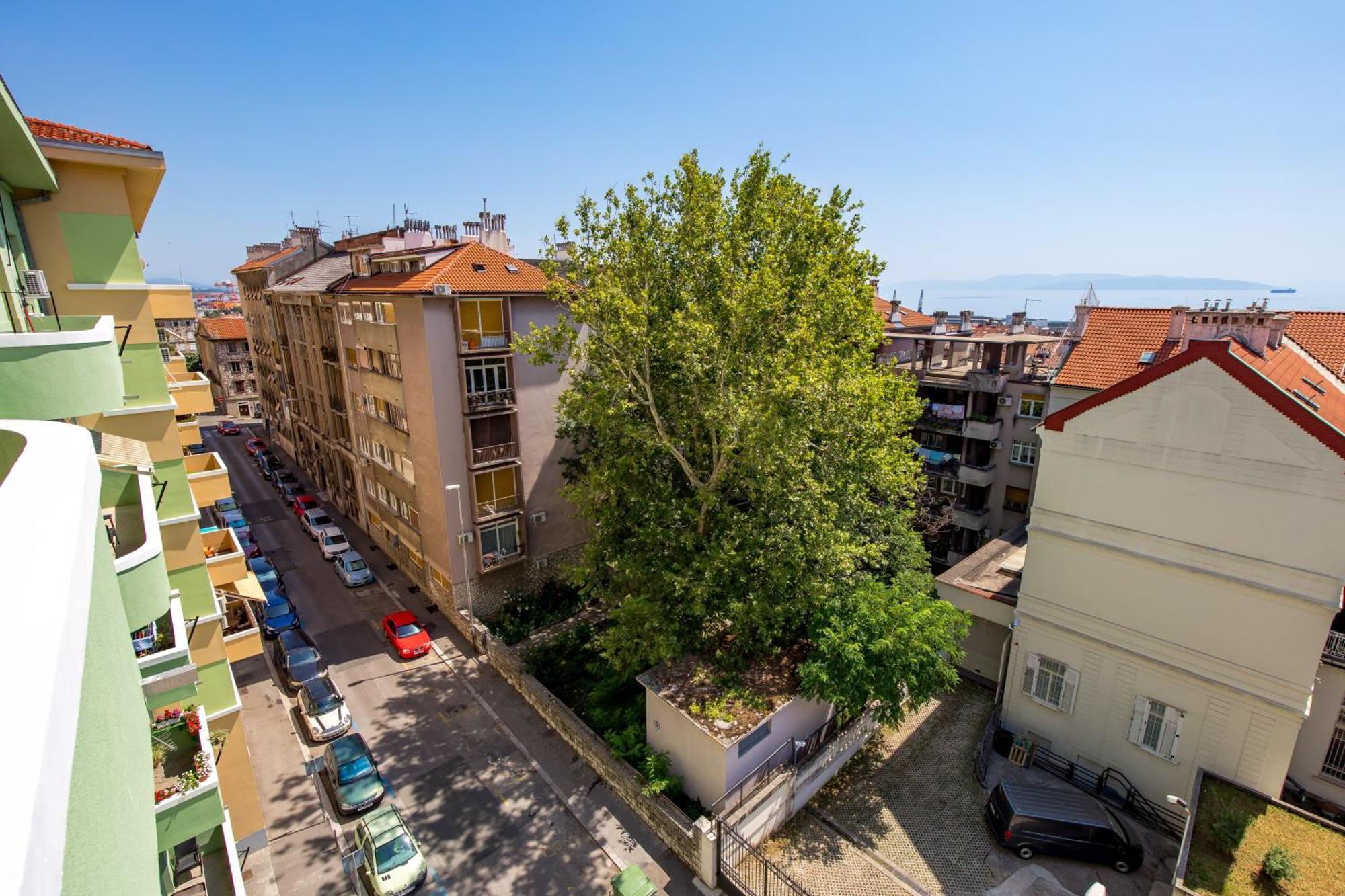 Oaza In The Heart Of * Rijeka